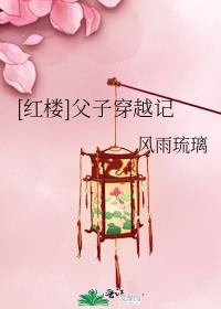 穿越红楼大房儿子女儿