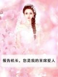报告机长,您是我的首席爱人