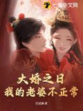 大婚之日,我的老婆不正常txt
