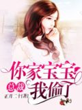 总裁,你家宝宝我偷了