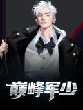 巅峰大少 小说